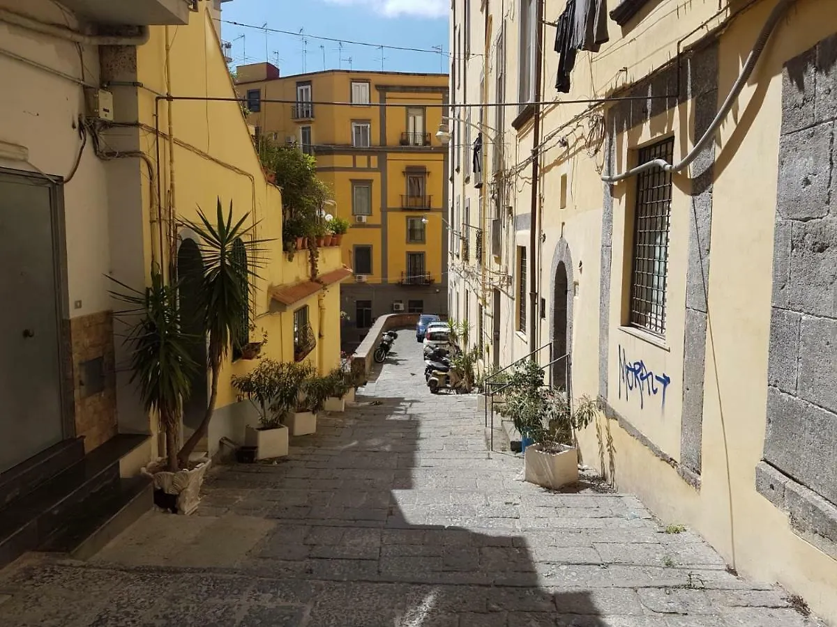Street House Apartment Naples Italy